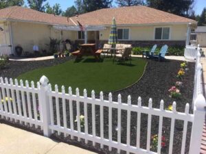 waterless lawn 3