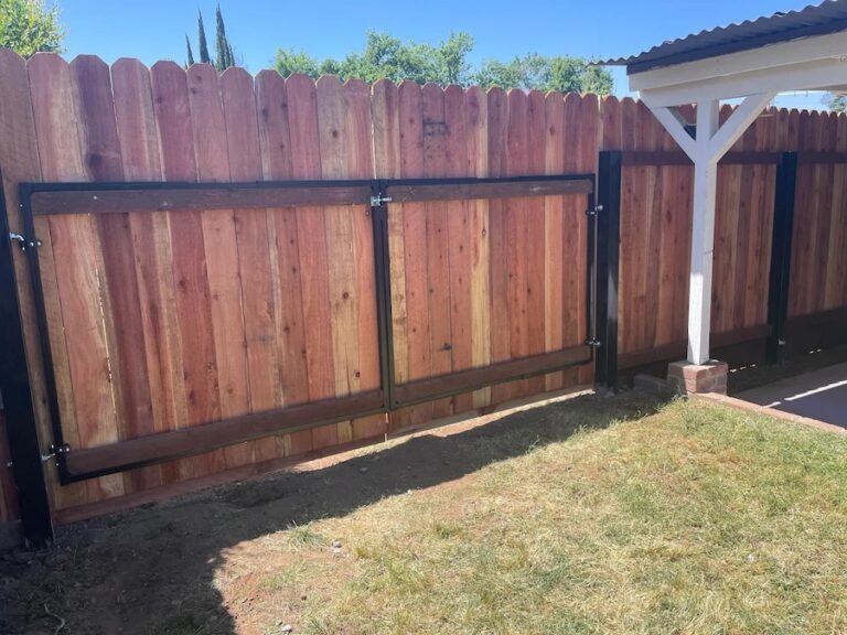 Deck and fence painting